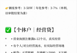 正规银行信贷· 参考准入指南