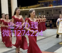 腾 龙公司直属代理怎么联系维11274224