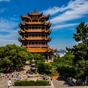 武汉论坛（wuhanbbs.com）作为一座城市的在线窗口，不仅仅是一个信息发布的平台 ...